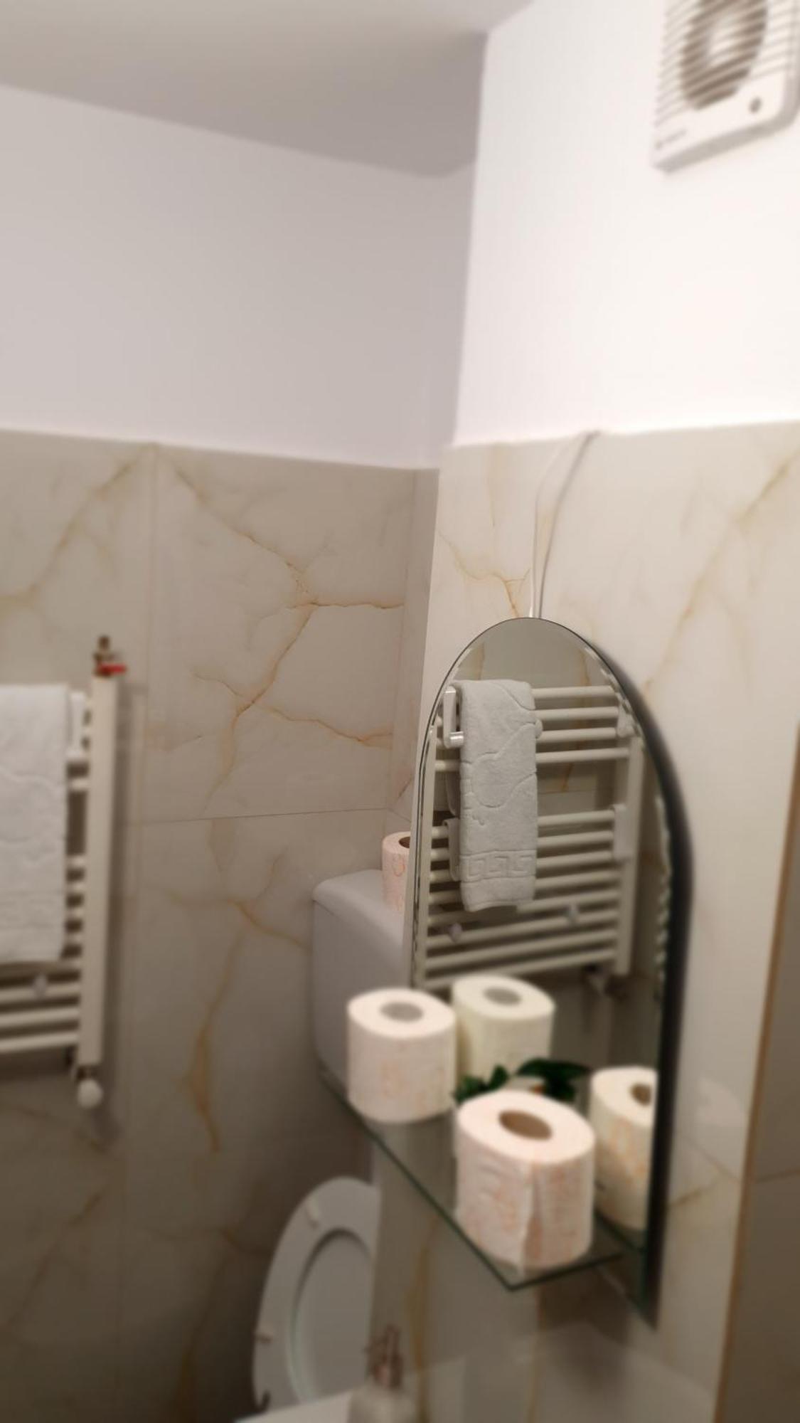 Janine Studio 布拉索夫 外观 照片